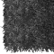 Chick Black
