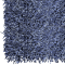 Chick Blue